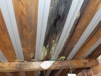 Patched roof repair